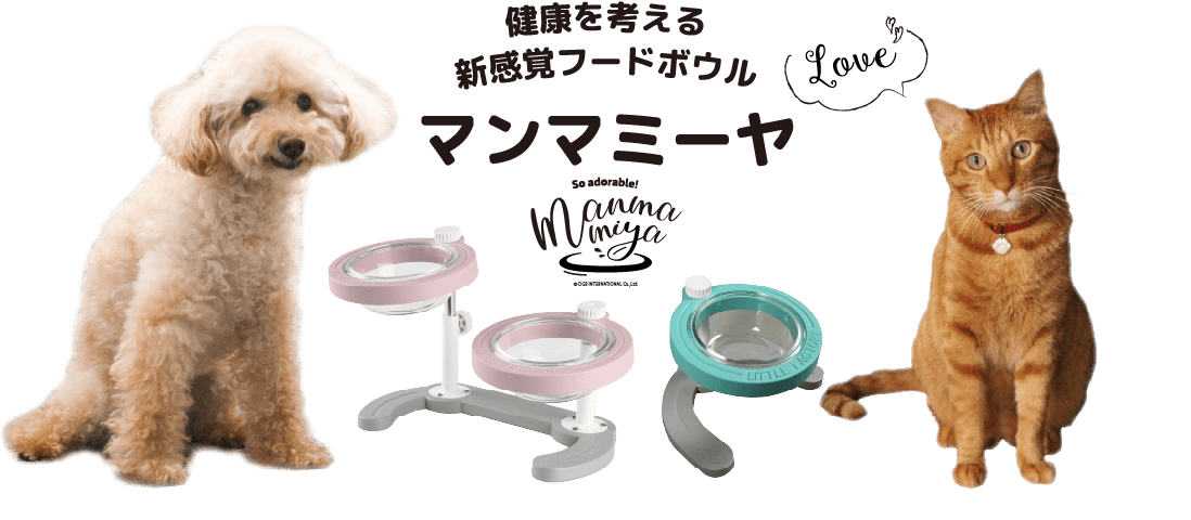 マンマミーヤ
